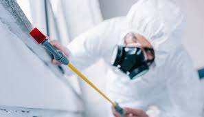 Real Estate Pest Inspections in Andrews, IN